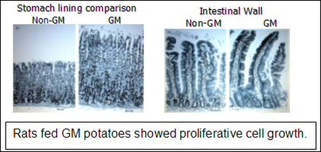 cell growth - Kidz Learn Applications